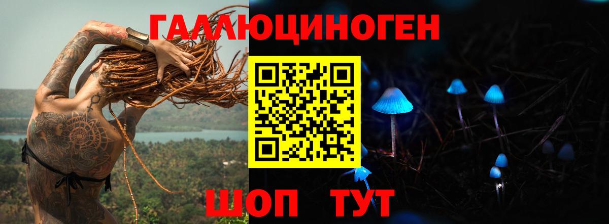 Псилоцибиновые грибы мицелий Камень-на-Оби