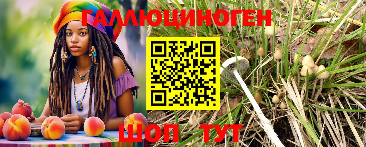 Камень-на-Оби  Псилоцибиновые грибы Psilocybe  Галлюциногенные грибы прущие грибы  Вход с VPN 
